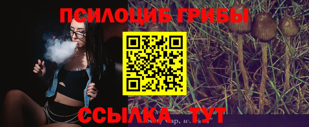 Галлюциногенные грибы Magic Shrooms Северодвинск