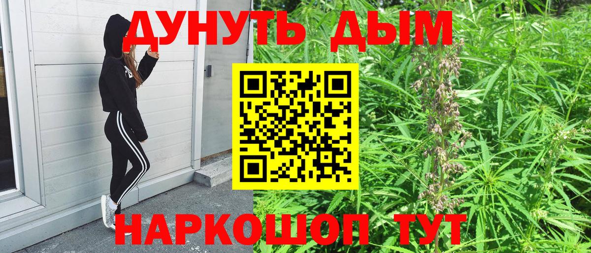 Шишки марихуана планчик Северодвинск